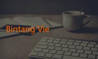 Bintang Vietnam Ini Sebut Indonesia Kini Lebih Menakutkan! Mengungkap Dinamika yang Membuat Semuanya Berubah