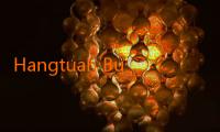 Hangtuah Buat Aplikasi Mobile Khusus Statistik Real-Time