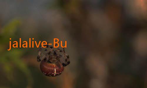 jalalive-Bulls Luncurkan Proyek Masa Depan Bersama Kawamura