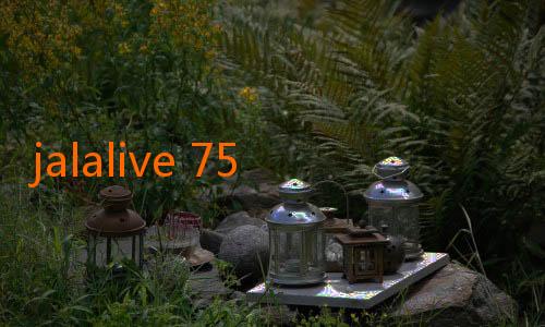 jalalive 75-Ulasan Pertandingan Debut Persikabo Musim 2025: Awal yang Menjanjikan di Liga Indonesia