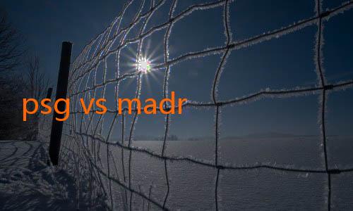 psg vs madrid jalalive-Transfer Terbaru Liga 1: Persib Bandung Gaet Gelandang Kreatif Asal Eropa